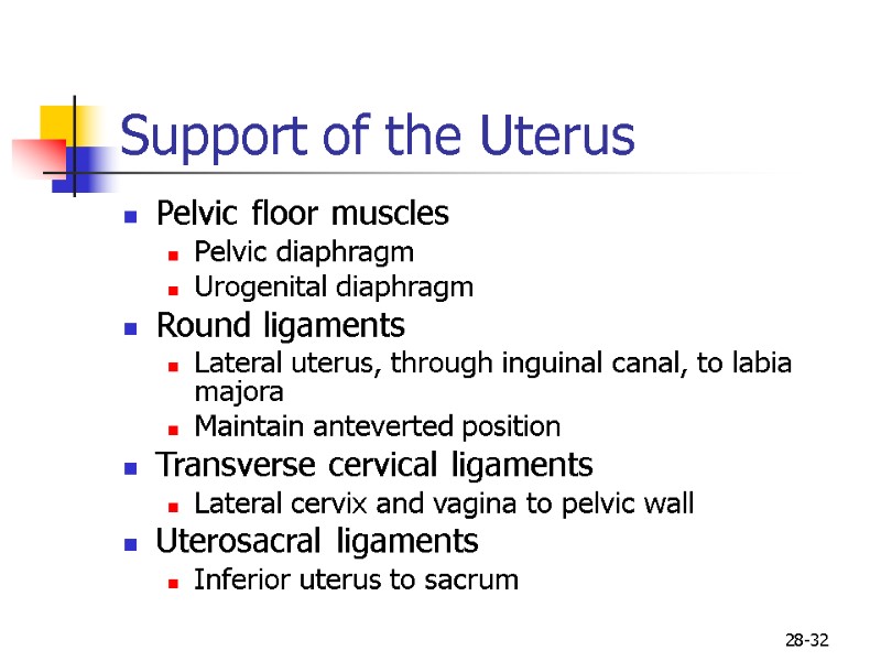 28-32 Support of the Uterus Pelvic floor muscles Pelvic diaphragm Urogenital diaphragm Round ligaments